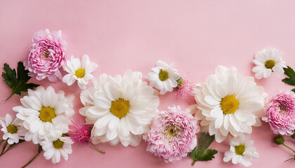 Naklejka na ściany i meble Several white and pink flowers - daisies, chrysanthemums, cherry blossom, on a seamless pastel pink background. Top view. Flat lay. Copy space for text