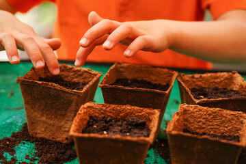 Close-up child's hands planting seeds. Nature and Education. Practical Life Skills. Child...