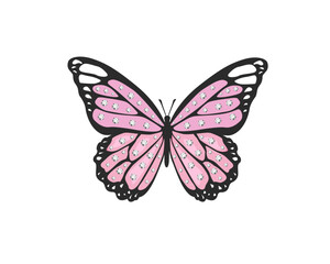 butterfly on white background rhinestone strass