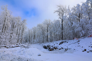Winter landscape after a snow storm eastern township Quebec Canada