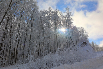 Winter landscape after a snow storm eastern township Quebec Canada