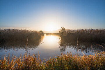新潟　早朝の福島潟