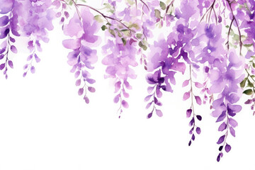 Bunch flora summer flowers wisteria purple plant spring nature leaf floral - obrazy, fototapety, plakaty