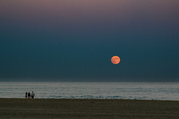 A family comes to the water's edge on the beach to watch the orange Hunters Moon rise of the...