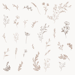 Set of vector simple  lined  florals for design