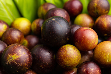 camu camu fruits, Myrciaria dubia, exotic fruit from the Amazon that grows on the banks of rivers,...