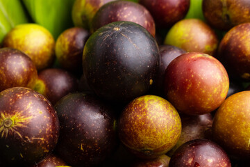 camu camu fruits, Myrciaria dubia, exotic fruit from the Amazon that grows on the banks of rivers, it is highly appreciated for its flavor, it is considered the fruit with the most vitamin C