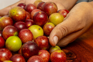 camu camu fruits, Myrciaria dubia, exotic fruit from the Amazon that grows on the banks of rivers, it is highly appreciated for its flavor, it is considered the fruit with the most vitamin C