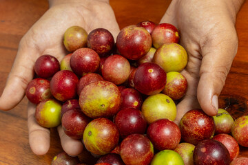 camu camu fruits, Myrciaria dubia, exotic fruit from the Amazon that grows on the banks of rivers, it is highly appreciated for its flavor, it is considered the fruit with the most vitamin C