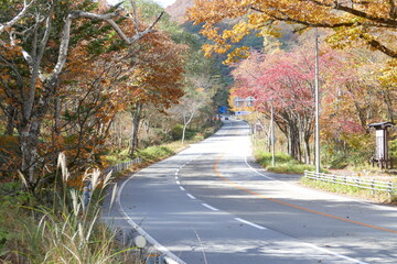 Obraz premium 奥飛騨温泉郷平湯 紅葉の風景