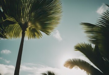 Tropical banana palm leaf stock photoLeaf, Backgrounds, Climate, Leaf, Tree