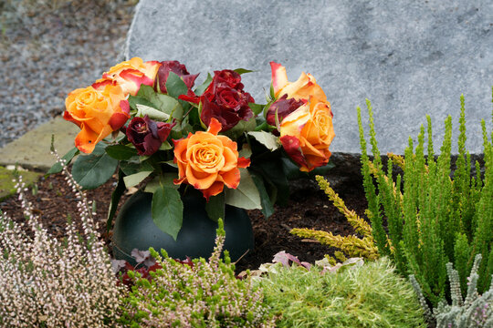 a black round vase with red and orange roses on a grave with an unmarked gravestone in the background