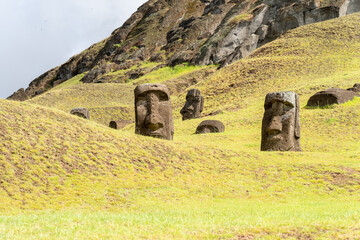 Moai heads on the slope of Rano Raraku on Easter Island (Rapa Nui),  Chile. Raraku is commonly...