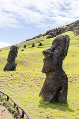 Moai heads on the slope of Rano Raraku on Easter Island (Rapa Nui),  Chile. Raraku is commonly...
