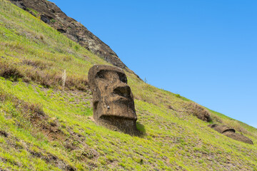 Moai heads on the slope of Rano Raraku on Easter Island (Rapa Nui),  Chile. Raraku is commonly...