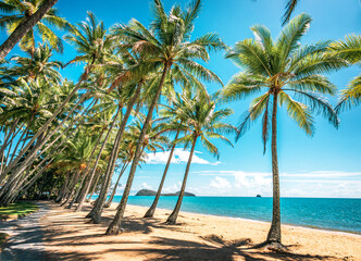 The view of the Palm Cove Beach in sunny days