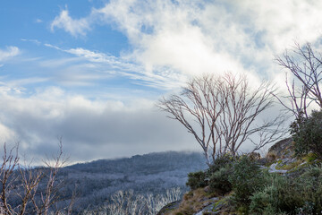 Kosciuszko National Park, NSW, Australia