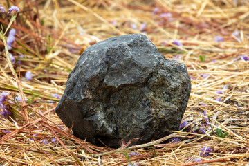 Large round rock in field 