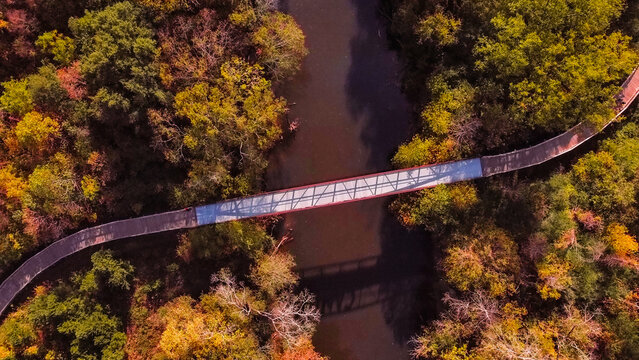 Autumn bridge 