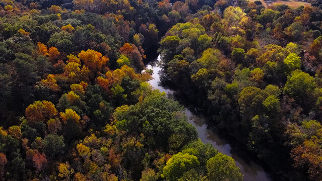 Autumn river