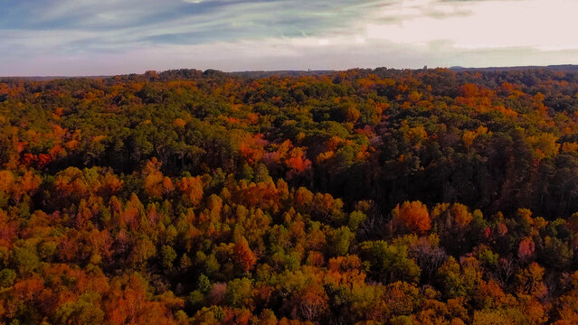 Sea of autumn 