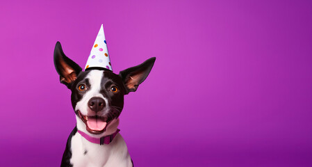 Happy smiling dog with party hat celebrated birthday or New Year. Place for your text or advertising.