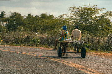 Obraz premium farmer and tractor
