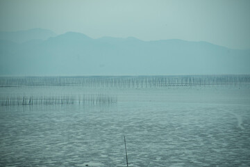 Fototapeta premium 熊本港