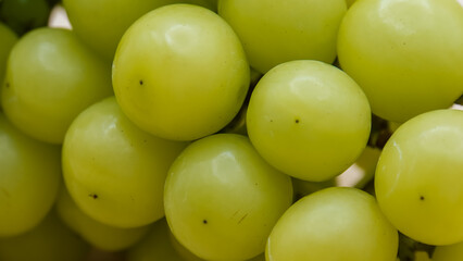 Beautiful a bunch of Shine Muscat green grape isolated on white background.