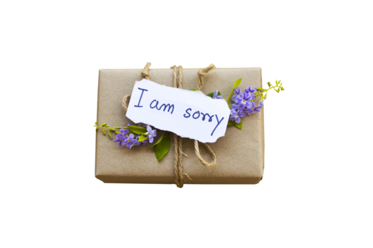 i am sorry message card handwriting with gift box arrangement flat lay postcard style o