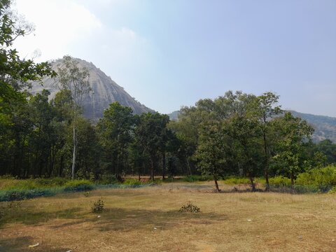landscape with trees At Pakhi Pahar in Purulia