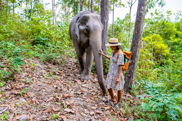 Asian woman visiting an Elephant sanctuary in Chiang Mai Thailand, a girl with an elephant in the...