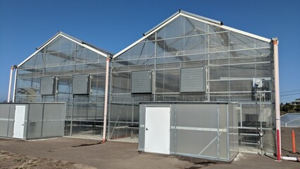 A community farm greenhouse growing a wide variety of fruits, vegetables and flowers in Encinitas California.