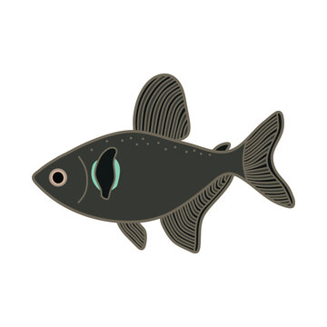 Cartoon Vector illustration black phantom tetra fish icon Isolated on White Background