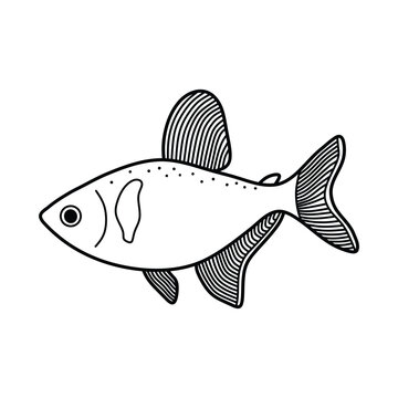 Hand drawn Cartoon Vector illustration black phantom tetra fish icon Isolated on White Background