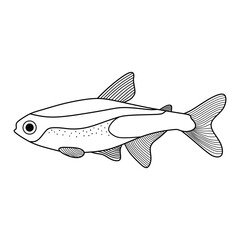 Hand drawn Cartoon Vector illustration neon tetra fish icon Isolated on White Background