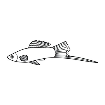 Hand drawn Cartoon Vector illustration swordtail fish icon Isolated on White Background