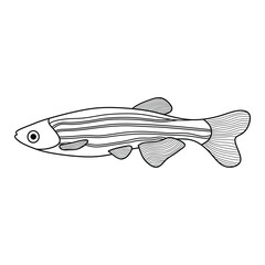 Hand drawn Cartoon Vector illustration zebra fish icon Isolated on White Background