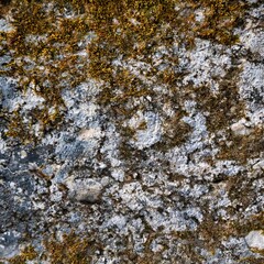 Talloires, France - September 08 2020 : creepy cracks, moss and linches on historic old errodated walls
