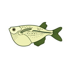 Cartoon Vector illustration hatchetfish icon Isolated on White Background