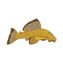 Cartoon Vector illustration suckermouth catfish icon Isolated on White Background - obrazy, fototapety, plakaty