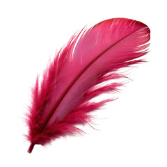 Delicate Downy Feather Isolated on Transparent Background