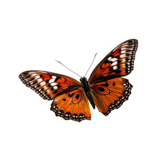 Fototapeta premium Graceful Butterfly in Side View Isolated on Transparent Background