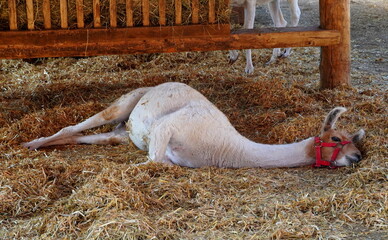 Mach mal Pause! © Bianca