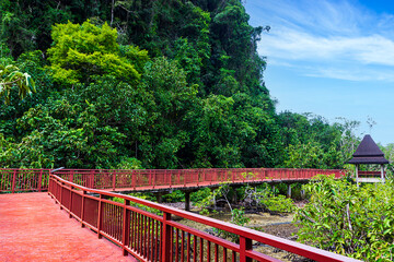 Walk way in Natural travel place Thapom Klong Song Nam, Krabi, Thailand