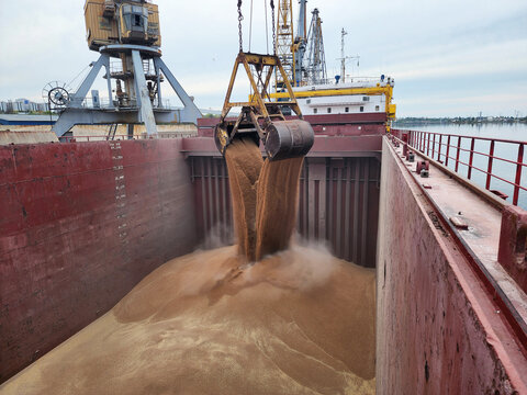 Loading of wheat in bulk into the ship's cargo hold by steel grab