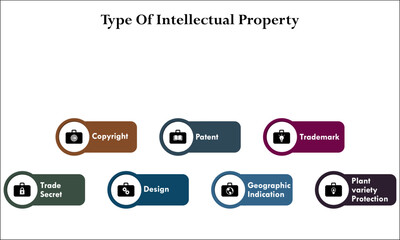 Types of Intellectual Property - Sole proprietorship, Partnership, Limited Partnership, Corporation, Limited liability company, Nonprofit Organization, Cooperative. Infographic template with icons