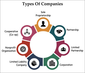 Types of Companies - Sole proprietorship, Partnership, Limited Partnership, Corporation, Limited liability company, Nonprofit Organization, Cooperative. Infographic template with icons