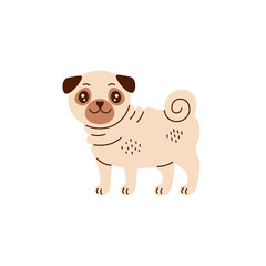 Cute funny pug vector illustration in cartoon style. Happy small wrinkly domestic dog from China. Hand drawn Chinese breed puppy with swirl tail. Pet character. Animal in flat design.