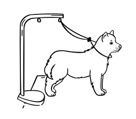 Pet grooming dog. Salon for animals. Doodle style animal and character hand drawn. Vector illustration.